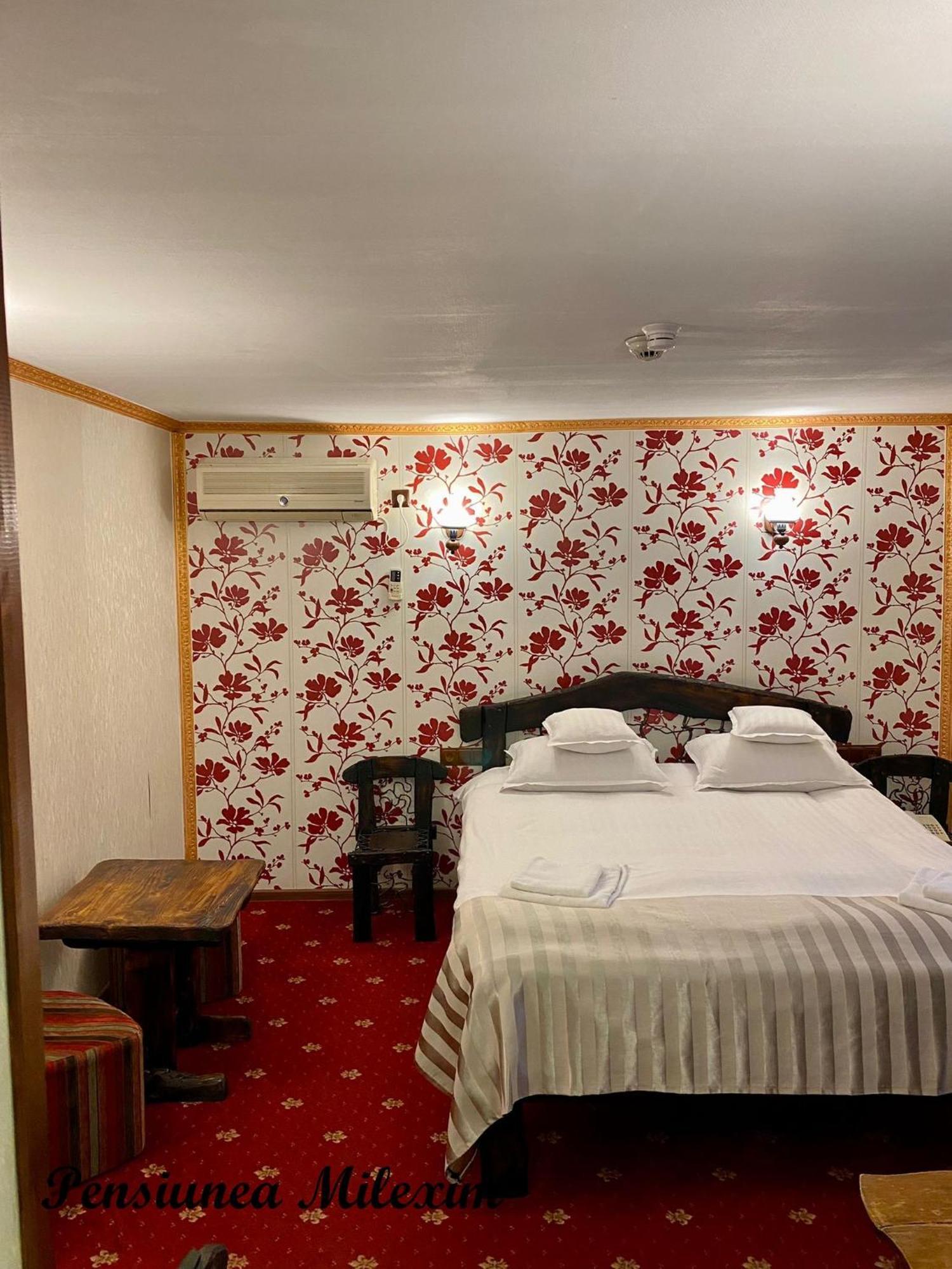 Pensiunea Milexim Cîmpia Turzii Extérieur photo